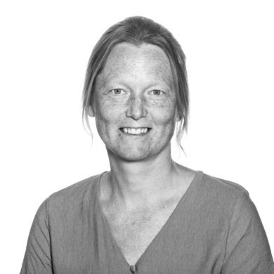 Signe Schmidt Web