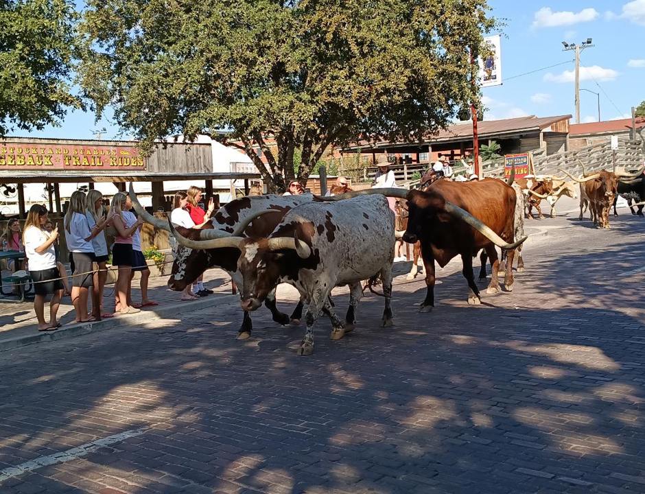 Tex4